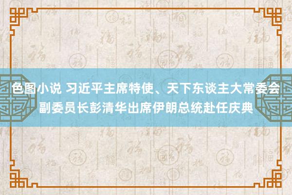 色图小说 习近平主席特使、天下东谈主大常委会副委员长彭清华出席伊朗总统赴任庆典