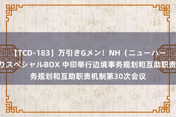 【TCD-183】万引きGメン！NH（ニューハーフ）ペニクリ狩りスペシャルBOX 中印举行边境事务规划和互助职责机制第30次会议