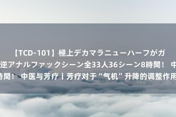 【TCD-101】極上デカマラニューハーフがガン掘り前立腺直撃快感逆アナルファックシーン全33人36シーン8時間！ 中医与芳疗丨芳疗对于“气机”升降的调整作用——梳理篇（下）