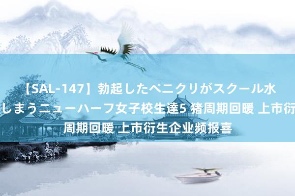 【SAL-147】勃起したペニクリがスクール水着を圧迫してしまうニューハーフ女子校生達5 猪周期回暖