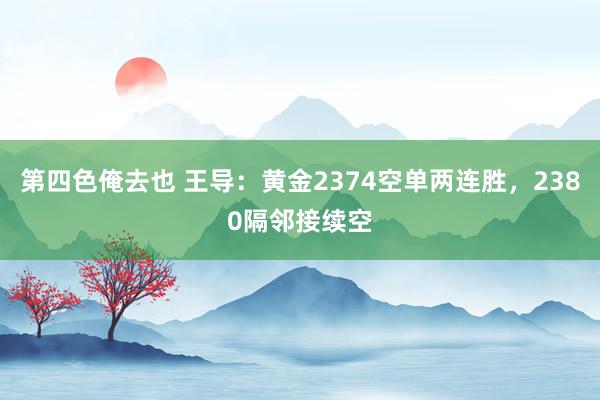 第四色俺去也 王导：黄金2374空单两连胜，2380隔邻接续空