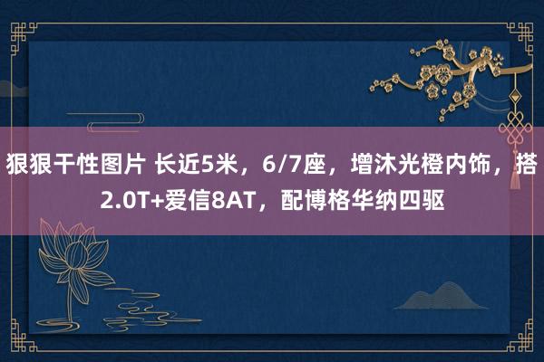 狠狠干性图片 长近5米，6/7座，增沐光橙内饰，搭2.0T+爱信8AT，配博格华纳四驱