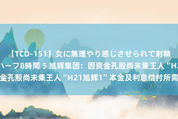 【TCD-151】女に無理やり感じさせられて射精までしてしまうニューハーフ8時間 5 旭辉集团：因资金孔殷尚未集王人“H21旭辉1”本金及利息偿付所需资金