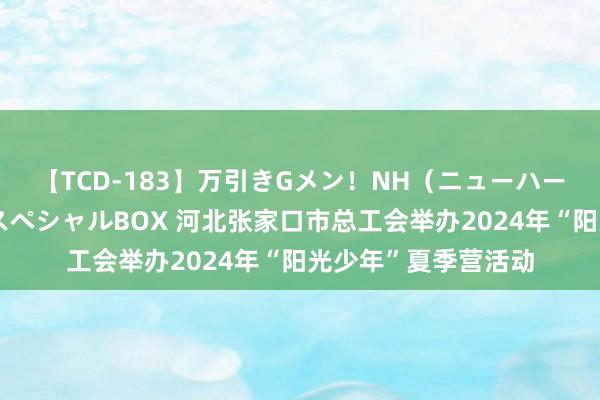 【TCD-183】万引きGメン！NH（ニューハーフ）ペニクリ狩りスペシャルBOX 河北张家口市总工会