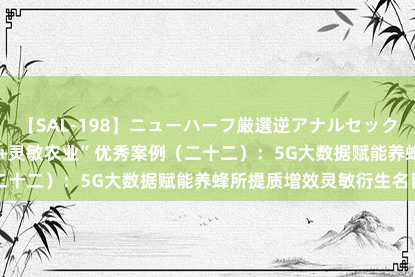 【SAL-198】ニューハーフ厳選逆アナルセックス全20名8時間！ “5G+灵敏农业”优秀案例（二十二）：5G大数据赋能养蜂所提质增效灵敏衍生名目