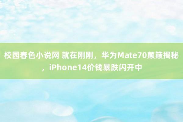 校园春色小说网 就在刚刚，华为Mate70颠簸揭秘，iPhone14价钱暴跌闪开中