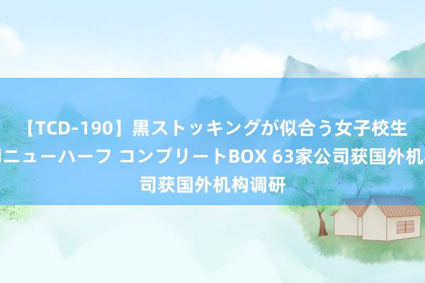 【TCD-190】黒ストッキングが似合う女子校生は美脚ニューハーフ コンプリートBOX 63家公司获国外机构调研