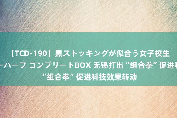 【TCD-190】黒ストッキングが似合う女子校生は美脚ニューハーフ コンプリートBOX 无锡打出“组合拳”促进科技效果转动