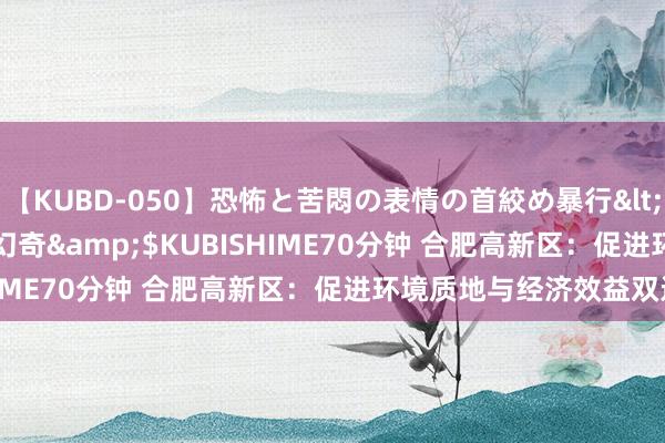 【KUBD-050】恐怖と苦悶の表情の首絞め暴行</a>2013-03-18幻奇&$KUBISHIME70分钟 合肥高新区：促进环境质地与经济效益双进步