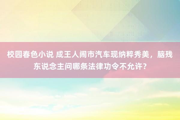 校园春色小说 成王人闹市汽车现纳粹秀美，脑残东说念主问哪条法律功令不允许？