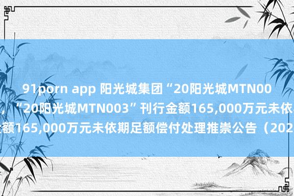 91porn app 阳光城集团“20阳光城MTN002”刊行金额75，000万元，“20阳光城MTN003”刊行金额165，000万元未依期足额偿付处理推崇公告（2024年7月）