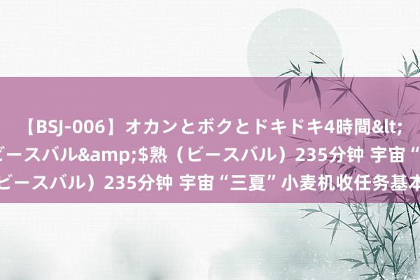 【BSJ-006】オカンとボクとドキドキ4時間</a>2008-04-21ビースバル&$熟（ビースバル）235分钟 宇宙“三夏”小麦机收任务基本完成