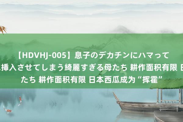 【HDVHJ-005】息子のデカチンにハマってしまい毎日のように挿入させてしまう綺麗すぎる母たち 耕作面积有限 日本西瓜成为“挥霍”