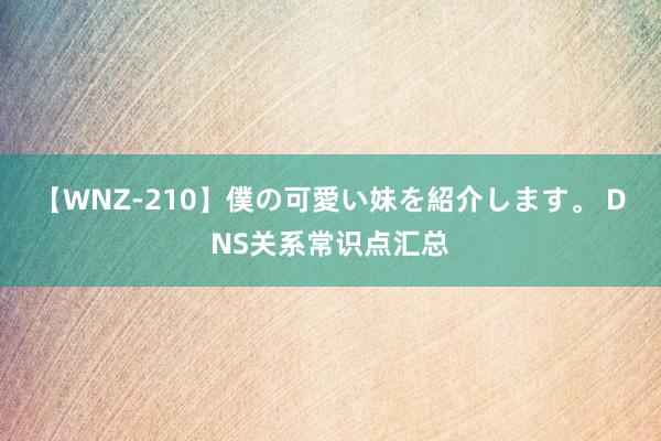 【WNZ-210】僕の可愛い妹を紹介します。 DNS关系常识点汇总