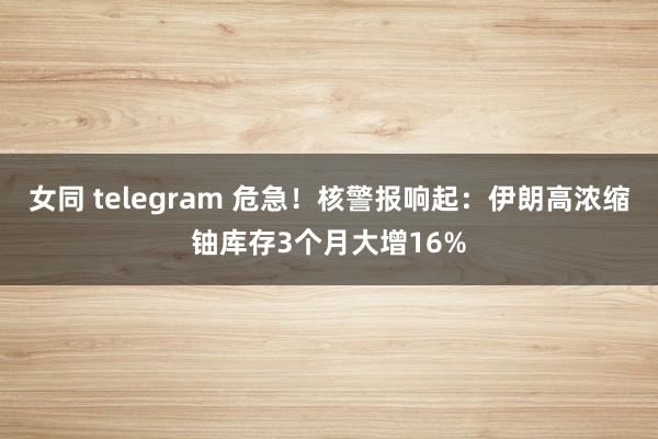 女同 telegram 危急！核警报响起：伊朗高浓缩铀库存3个月大增16%