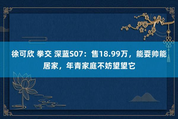 徐可欣 拳交 深蓝S07：售18.99万，能耍帅能居家，年青家庭不妨望望它