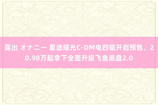 露出 オナニー 星途瑶光C-DM电四驱开启预售，20.98万起拿下全面升级飞鱼底盘2.0