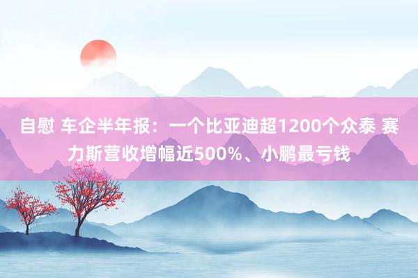 自慰 车企半年报：一个比亚迪超1200个众泰 赛力斯营收增幅近500%、小鹏最亏钱