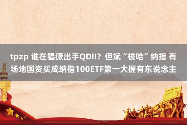 tpzp 谁在猖獗出手QDII？但斌“梭哈”纳指 有场地国资买成纳指100ETF第一大握有东说念主