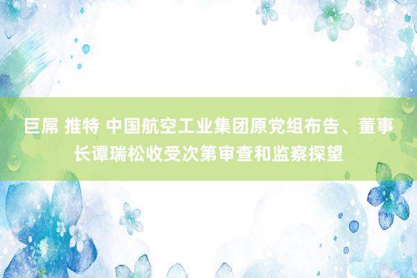 巨屌 推特 中国航空工业集团原党组布告、董事长谭瑞松收受次第审查和监察探望