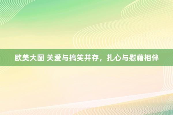 欧美大图 关爱与搞笑并存，扎心与慰藉相伴