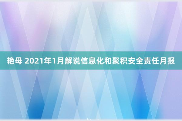 艳母 2021年1月解说信息化和聚积安全责任月报